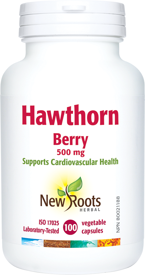 Hawthorn Berry