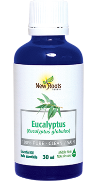 Pure Eucalyptus Essential Oil