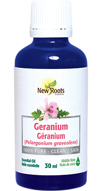 Pure Geranium Essential Oil