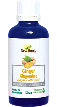 Pure Ginger Essential Oil