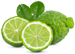 Bergamot Essential Oil