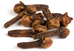 Clove Bud Essential Oil