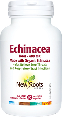 Echinacea Root