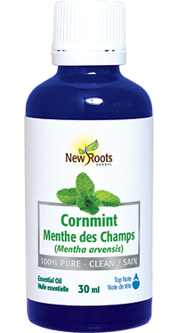 Cornmint Essential Oil