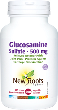 Glucosamine Sulfate 500 mg