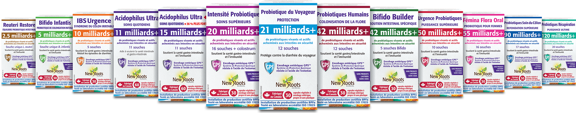 Toutes les formules probiotiques à base de New Roots Herbal contiennent des souches soigneusement sélectionnées, chacune présentant des bienfaits uniques pour la santé intestinale et immunitaire.