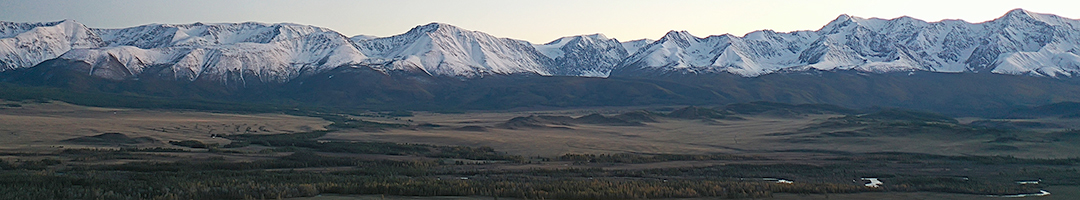 Nature’s Protective Elixir