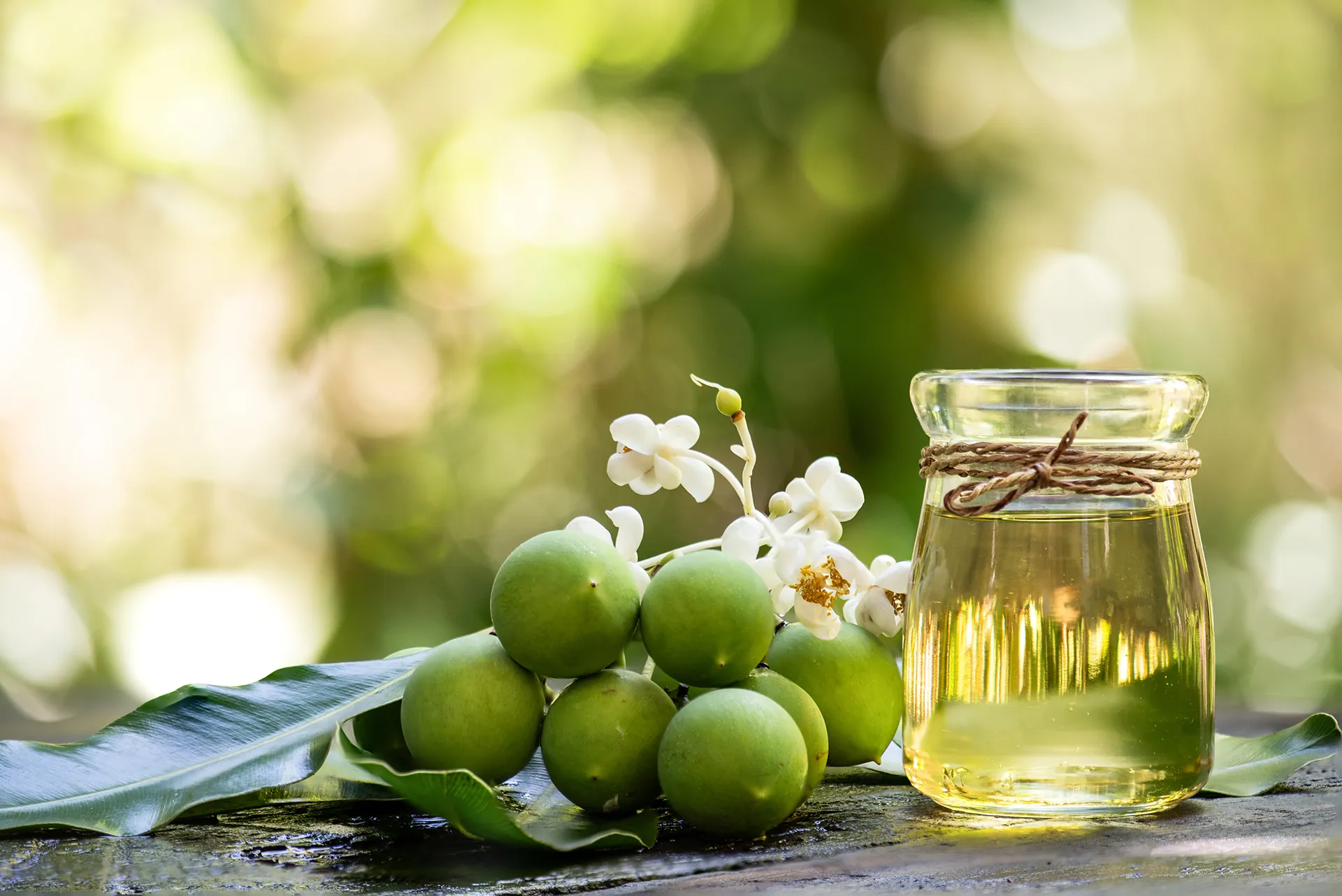 Signes indiquant que votre routine beauté pourrait bénéficier de l’Huile de Tamanu
