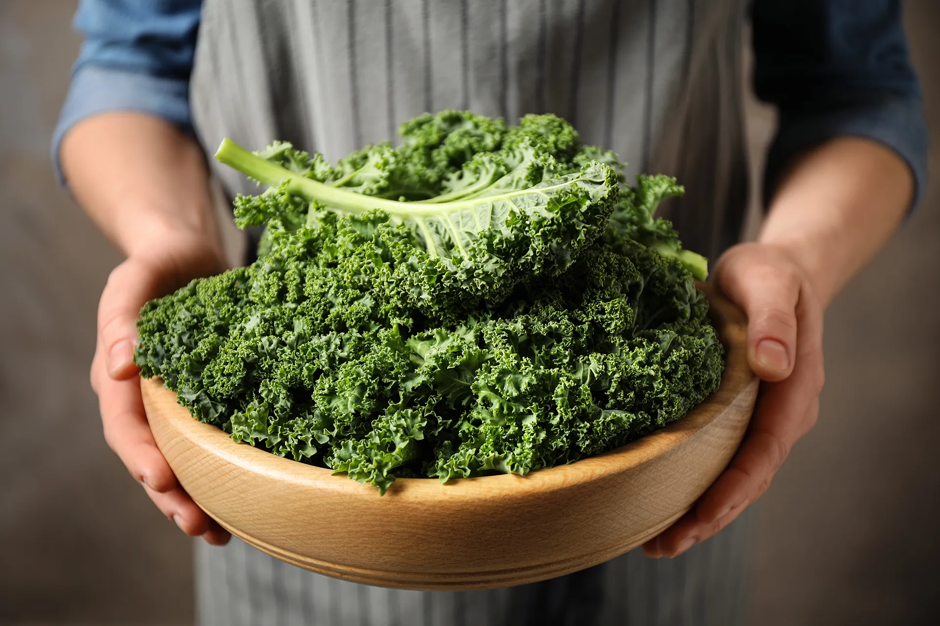 Fuel cellular balance