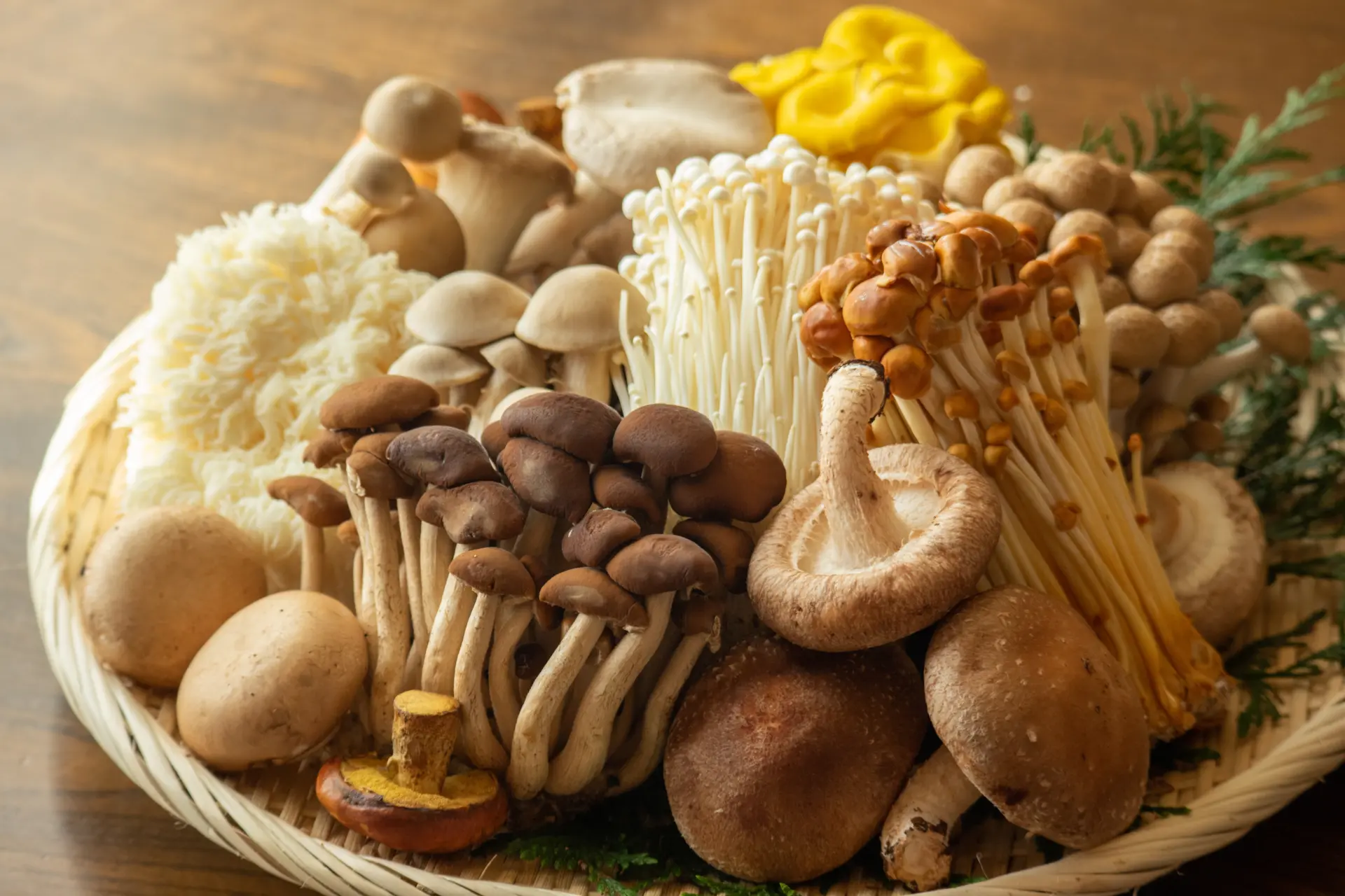 Medicinal Mushrooms and Their Role in Wellness