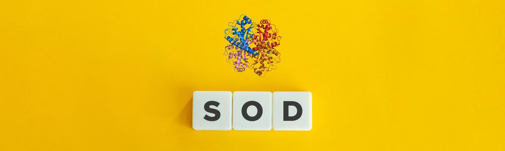 SOD : un acronyme à explorer
