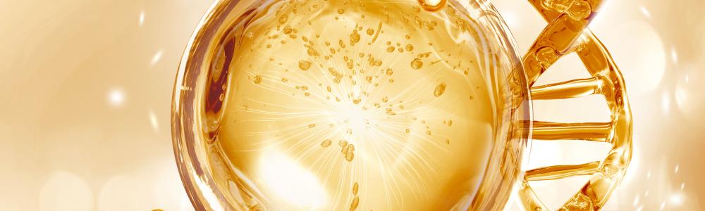 La bataille cellulaire pour votre santé