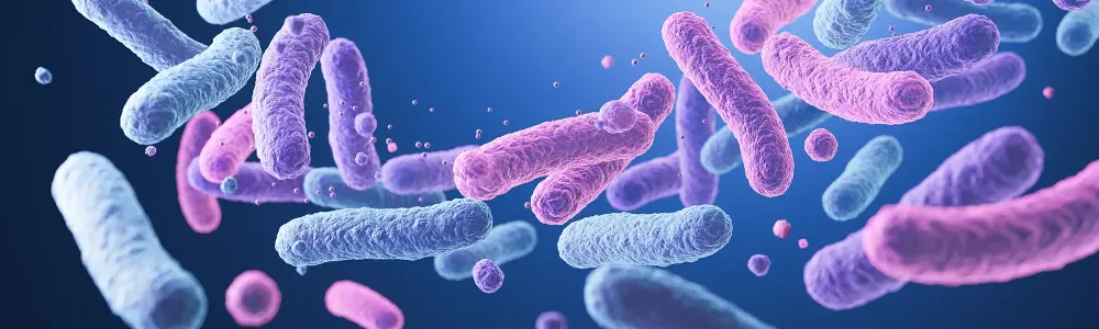 Les bienfaits insoupçonnés des probiotiques