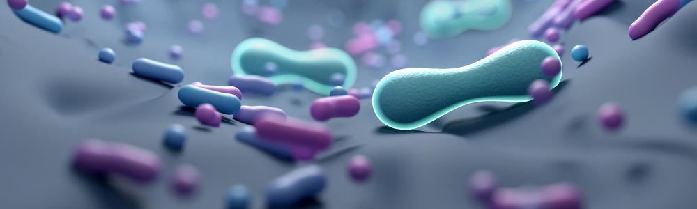 Votre microbiome à l’œuvre : Un intestin en santé, c’est un travail d’équipe