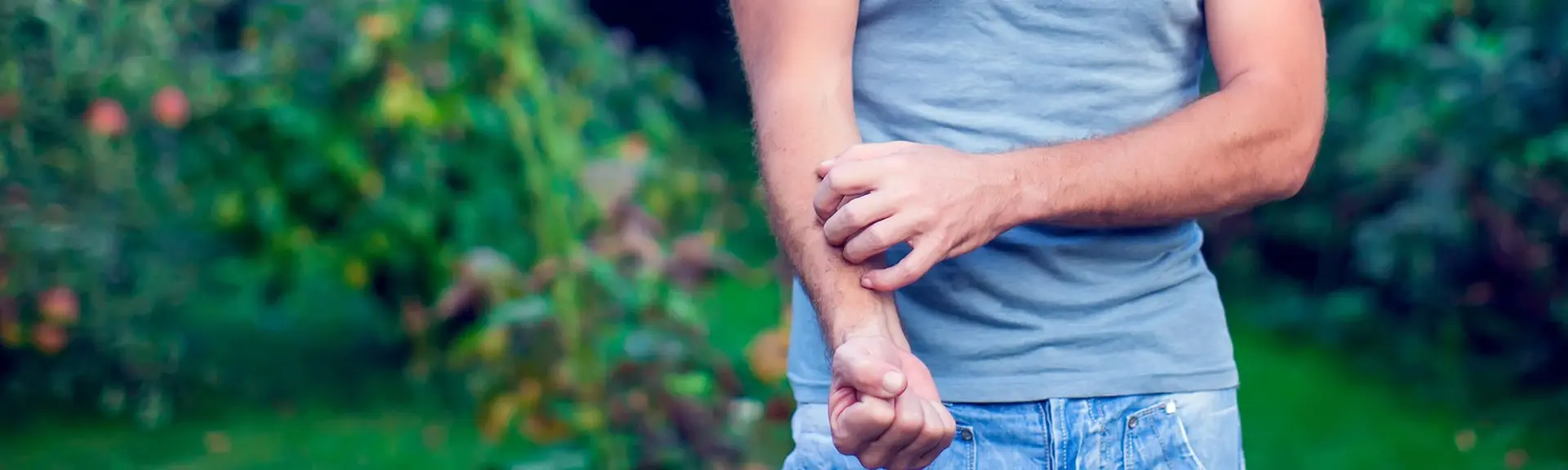 Les moustiques ruinent vos fêtes ?