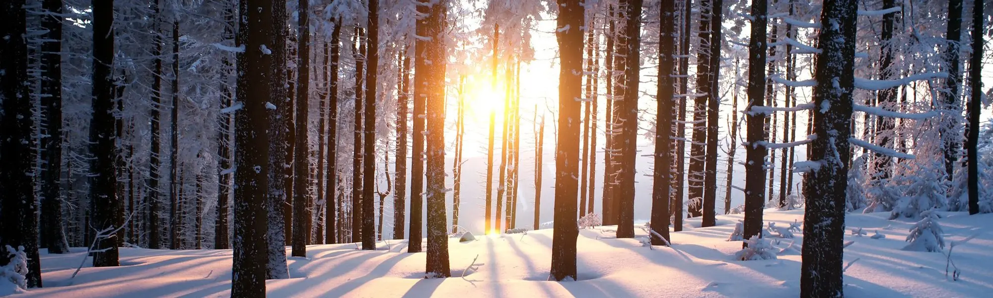 D’où viennent vos « blues » de l’hiver ? (et comment vous en débarrasser !)