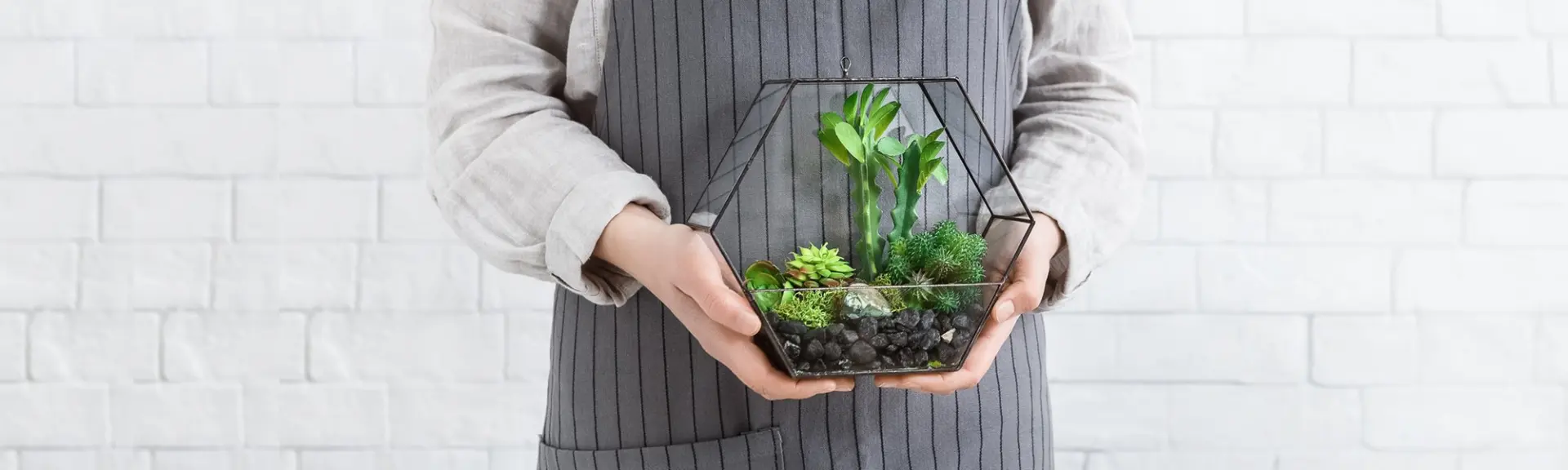 Probiotiques : Le microbiome, notre jardin intérieur