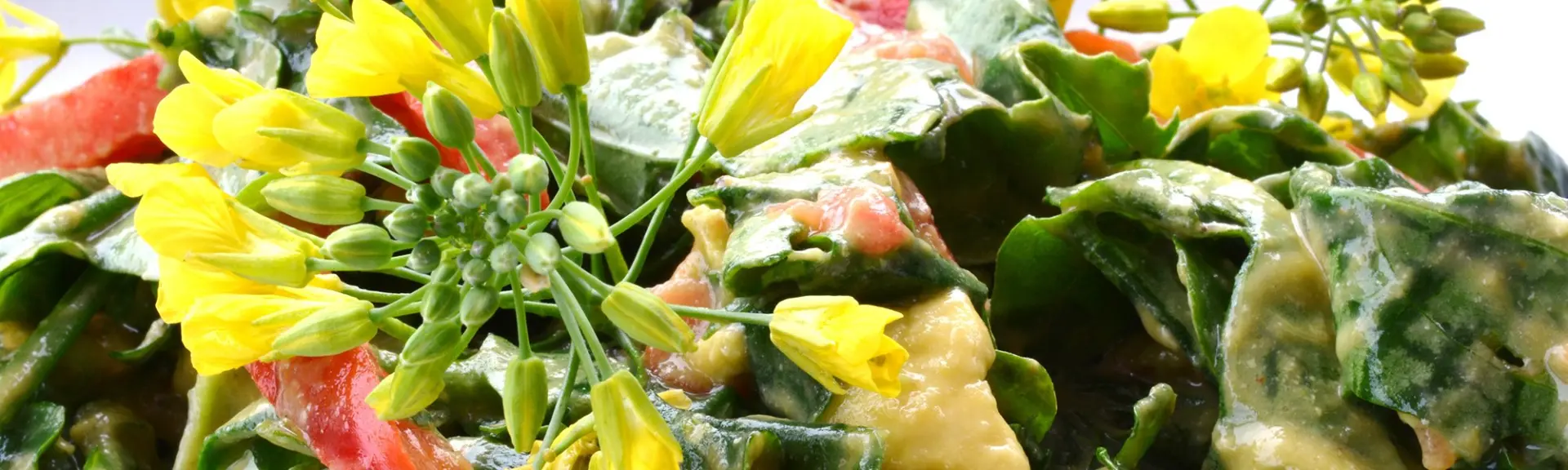 Salade avocat et chou frisé cru