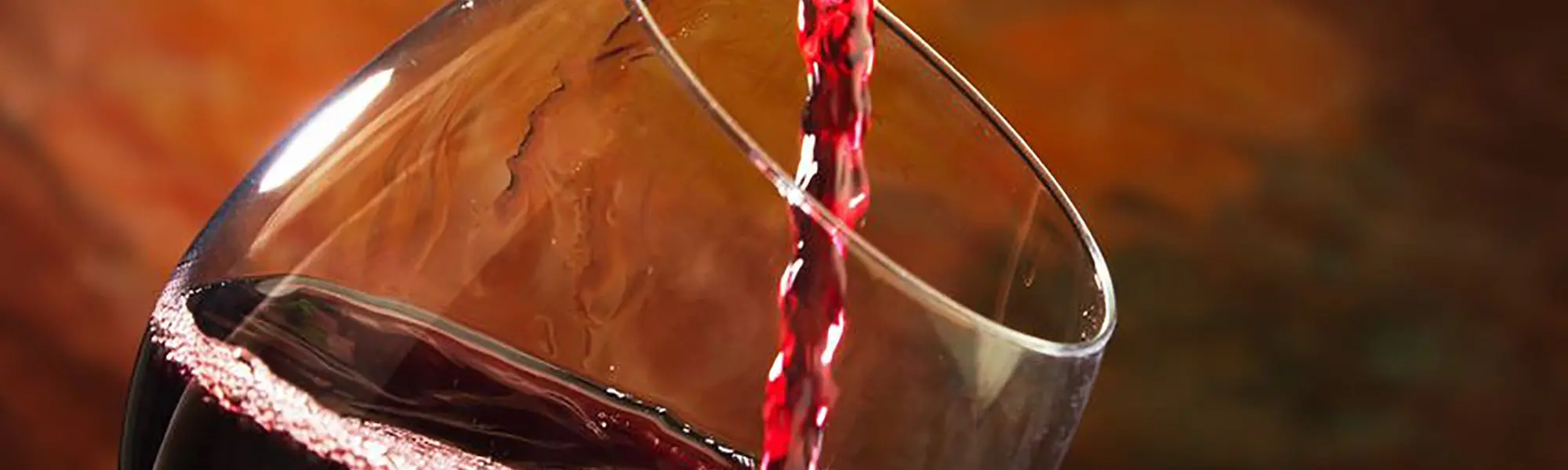 Le resvératrol : Découvrons le vin rouge et ses bienfaits pour la santé