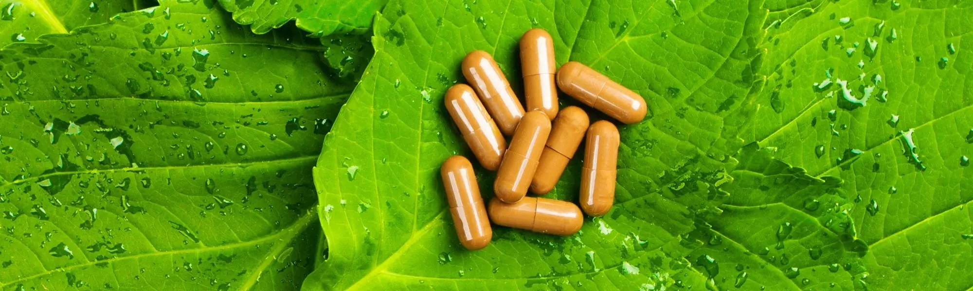Multivitamines, tu prendras ; consensus, il y a !
