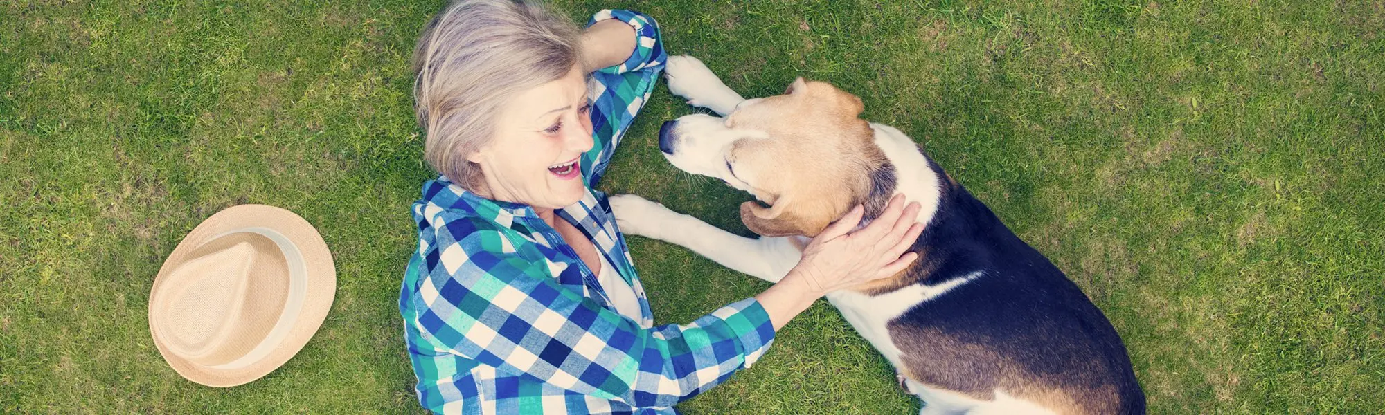 L’arthrose chez les animaux