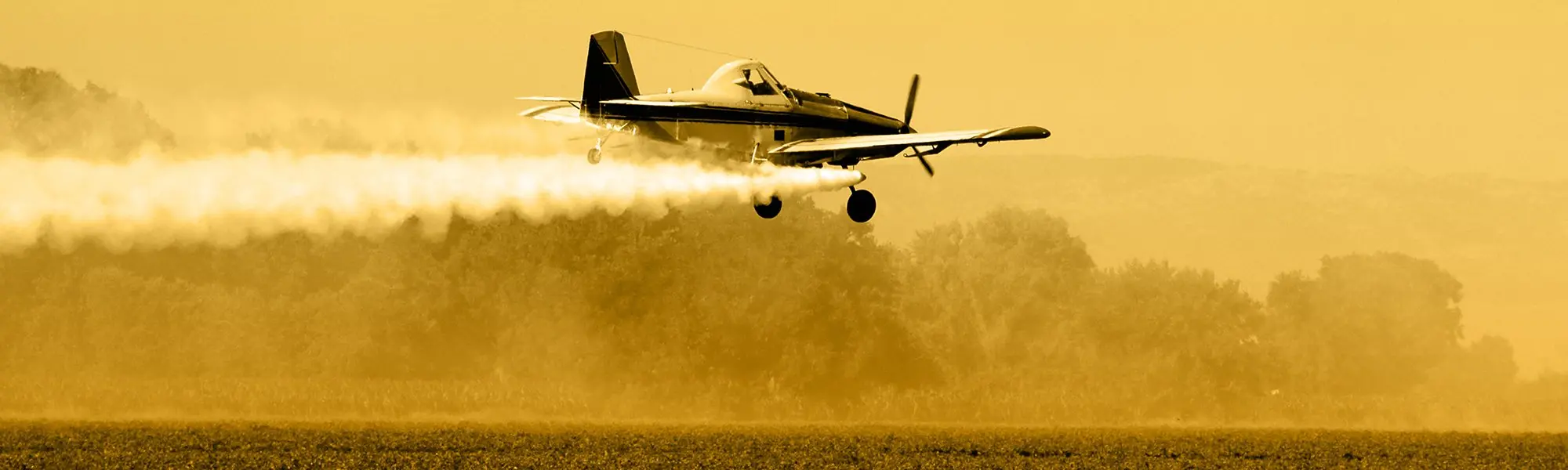 Le problème avec les pesticides