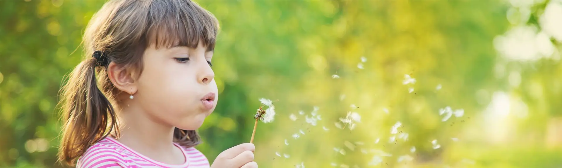 Allergies saisonnières : Traitements naturopathiques