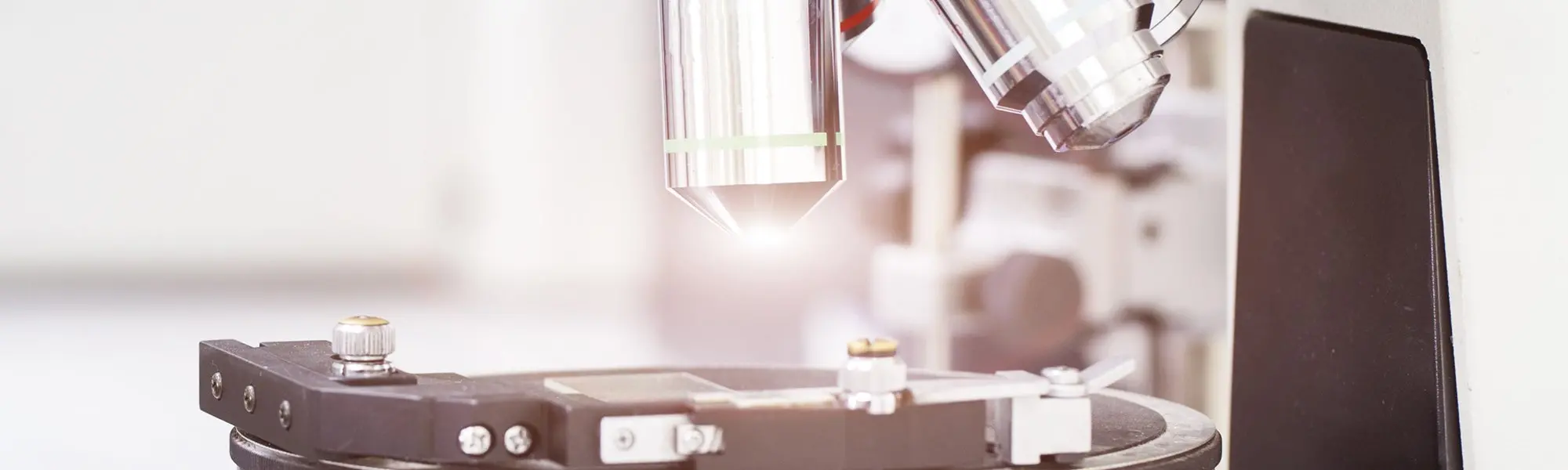 Sous le microscope : l’histoire du Lactobacillus rhamnosus