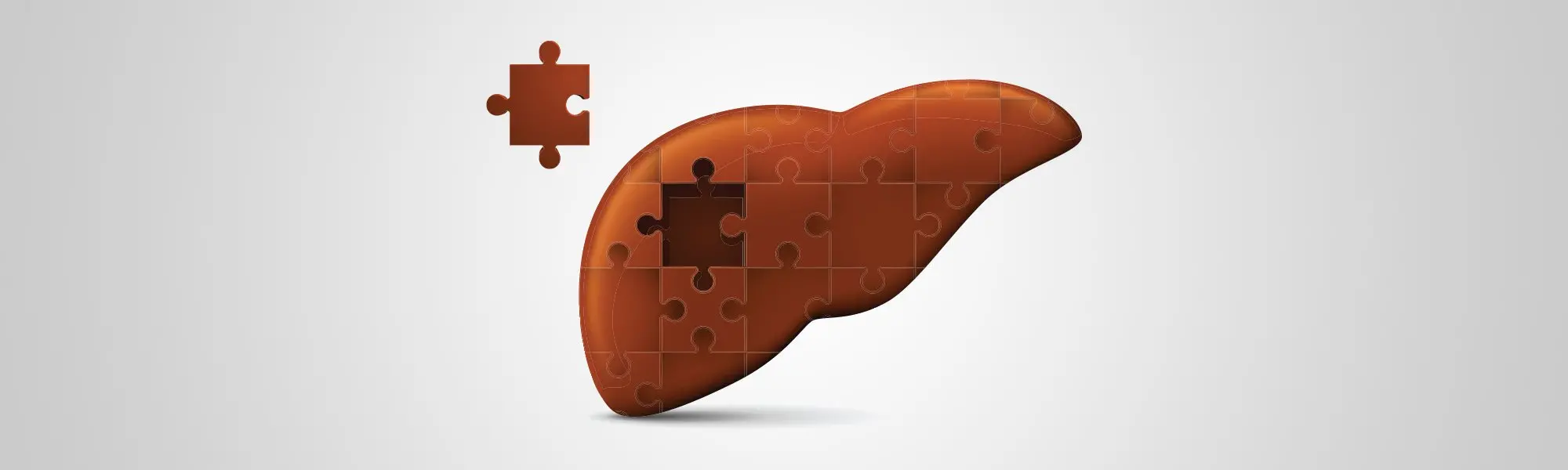 Les multiples aspects de la santé du foie