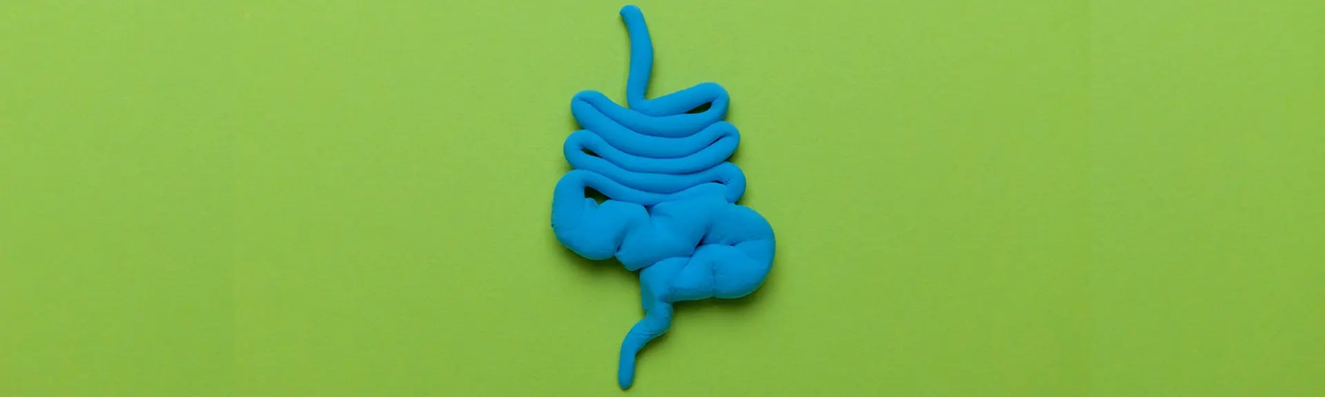 La santé du microbiote intestinal et de son hôte : Perspectives naturopathiques
