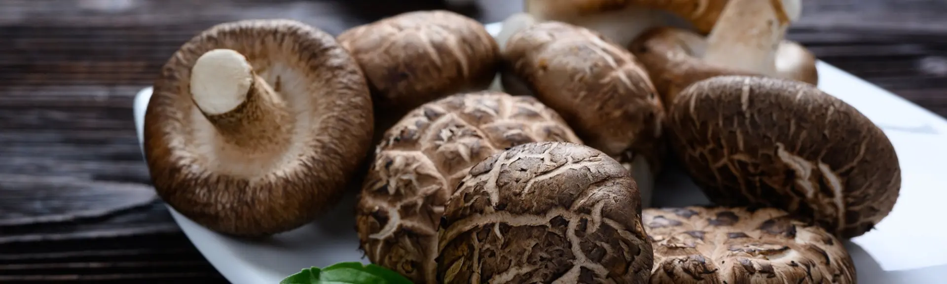 Fabuleux champignons : Leurs effets immunitaires