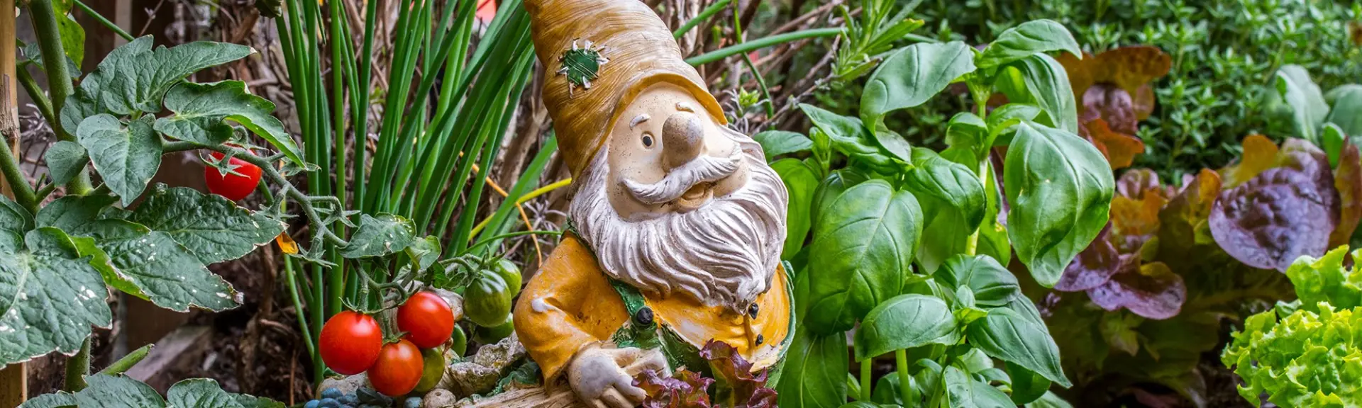 Petits jardins, grandes récompenses