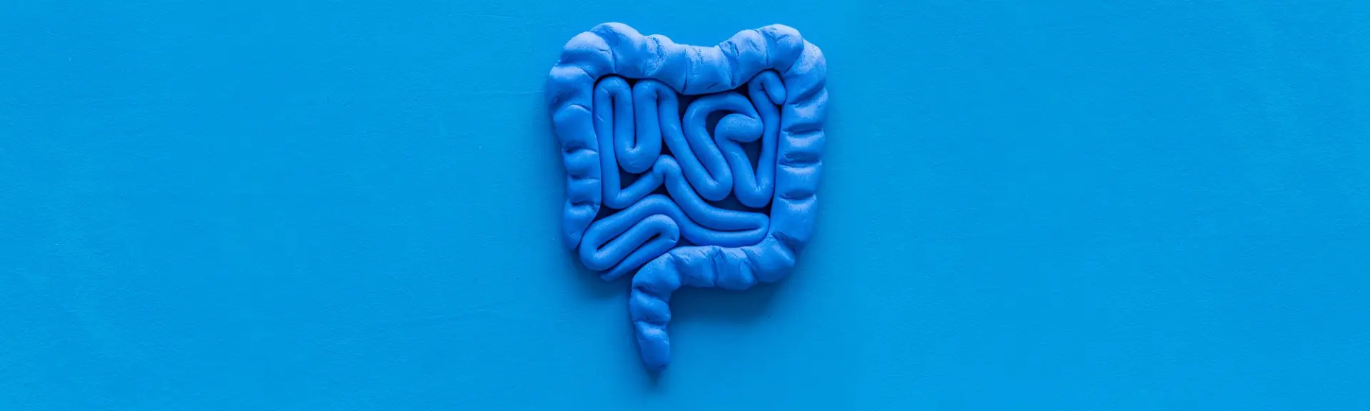 Le microbiome intestinal et la santé : Perspectives naturopathiques