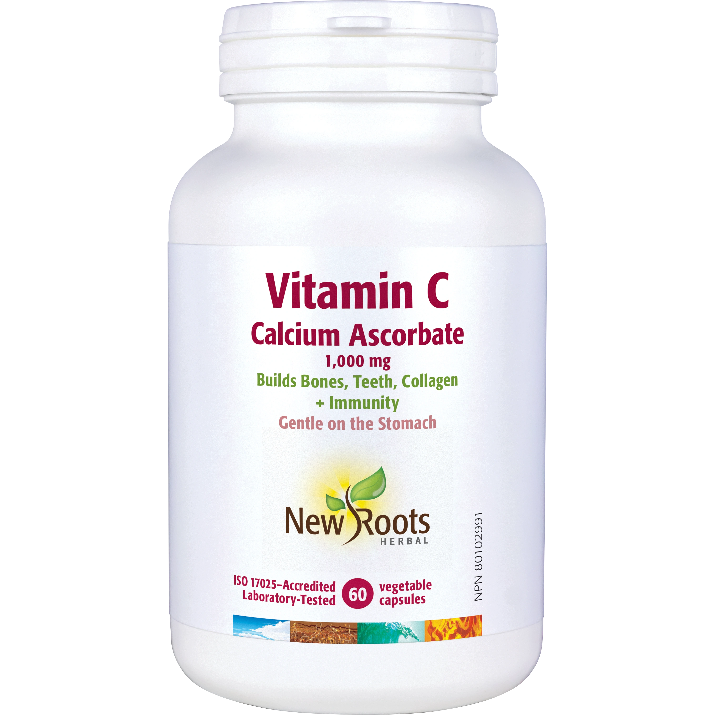 glutathione absorbance spectrum Glutathione Quantification Total Glutathione Quantification Kit Dojindo