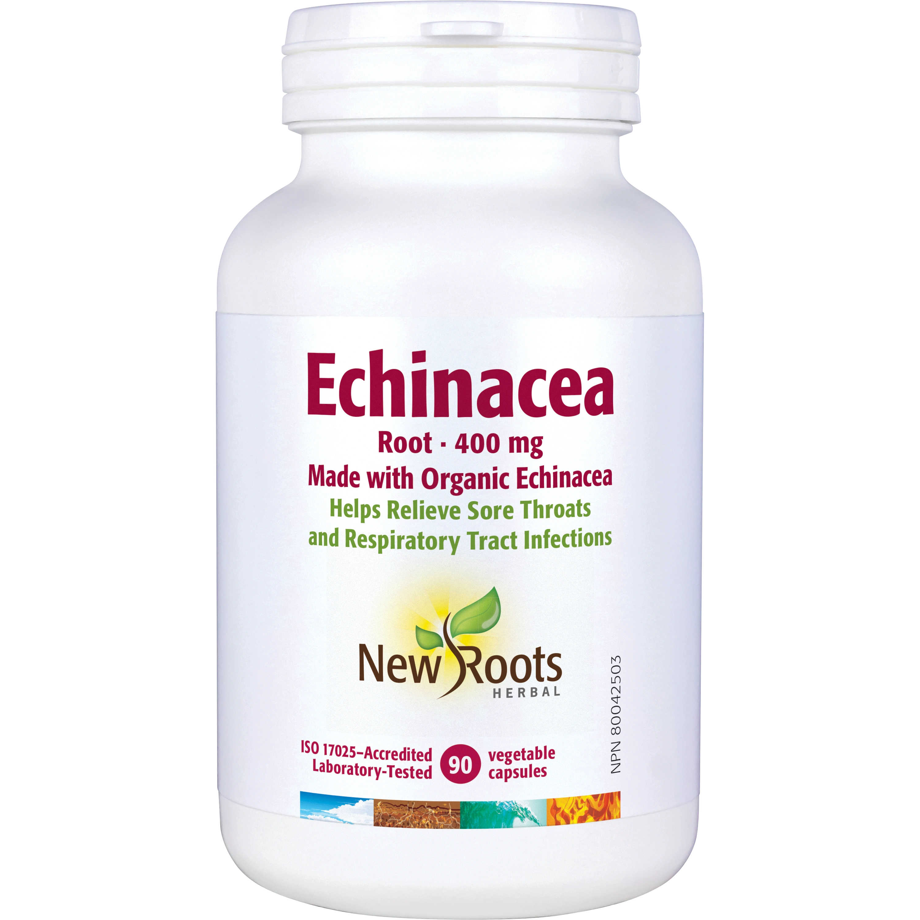 Echinacea Root