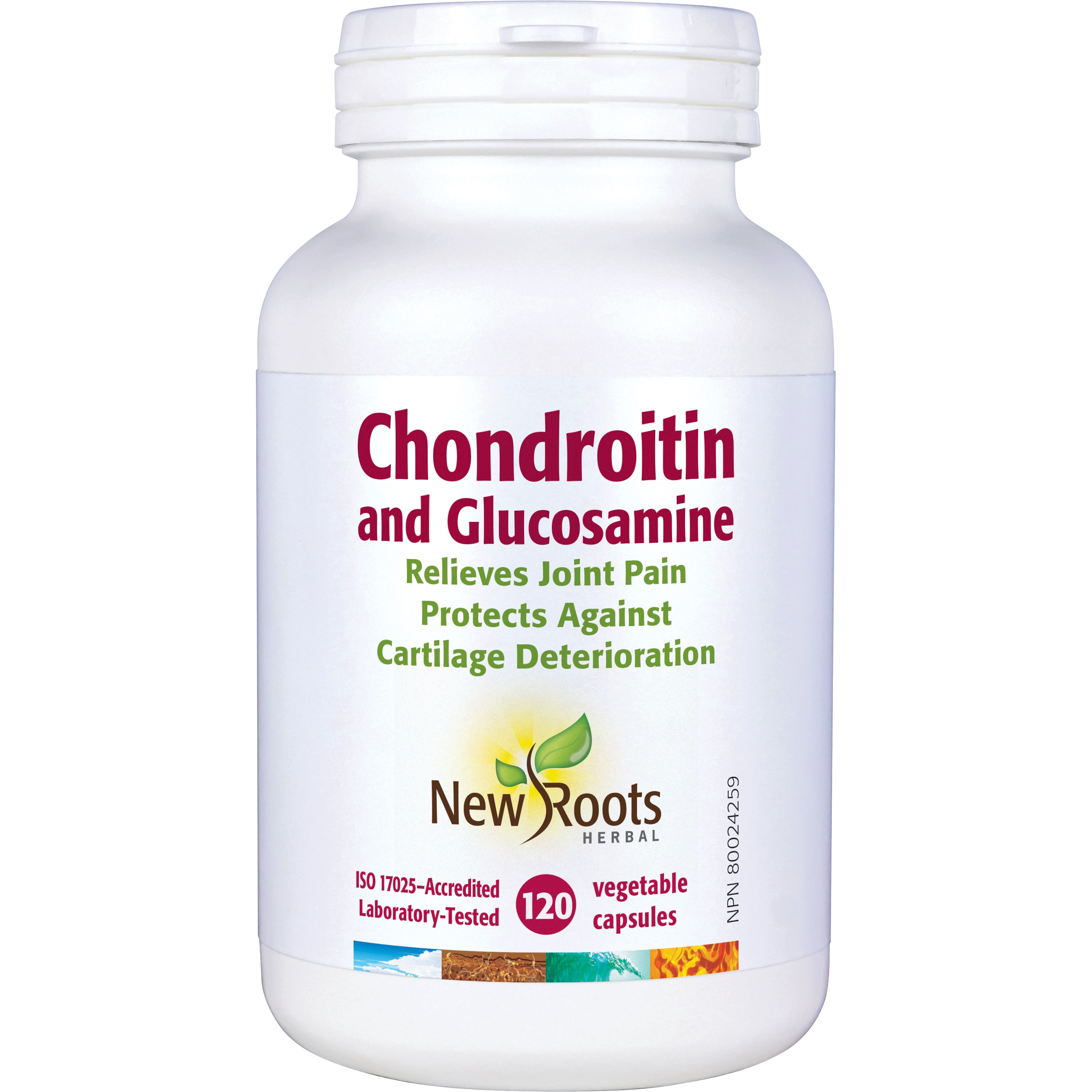 Chondroitin and Glucosamine