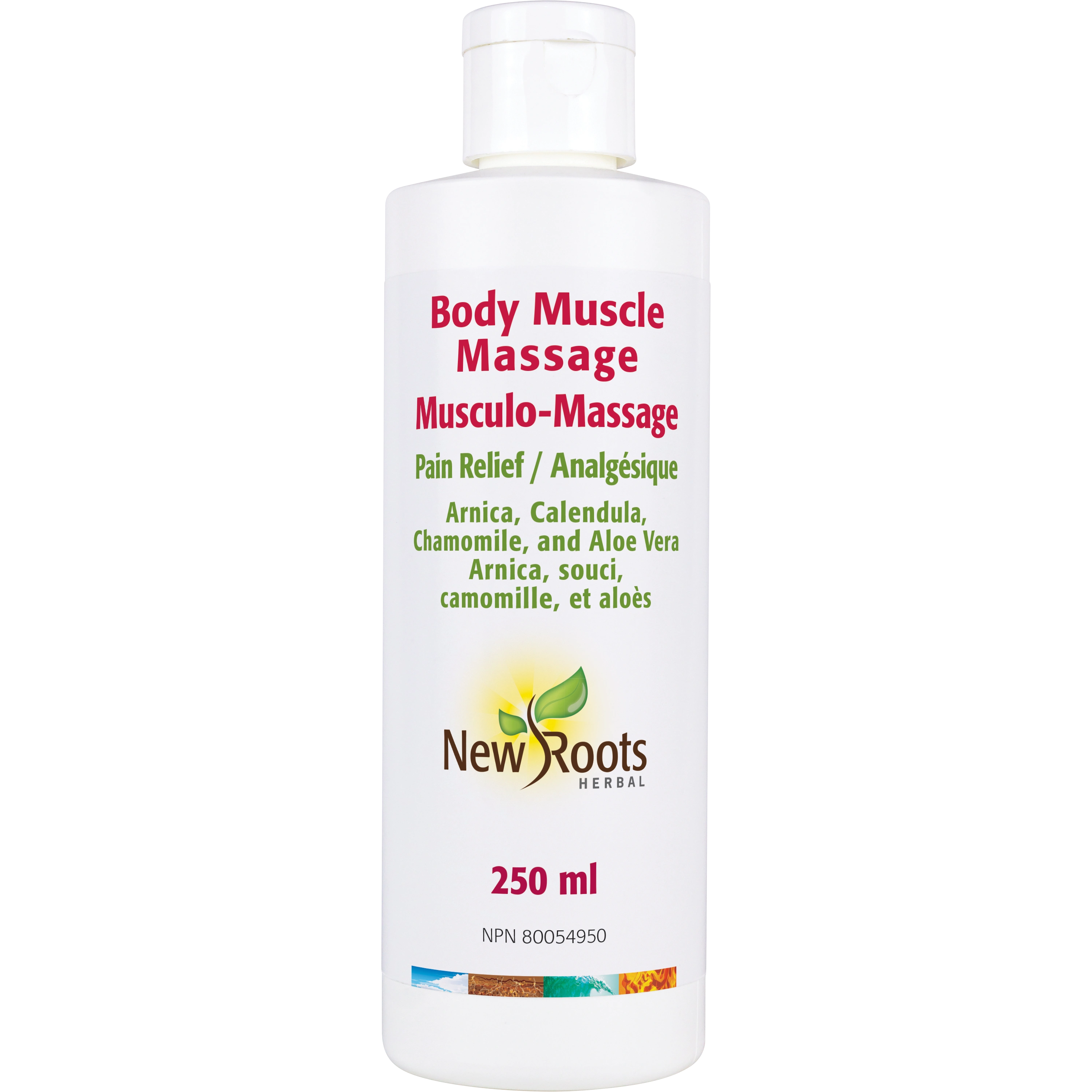 Body Muscle Massage