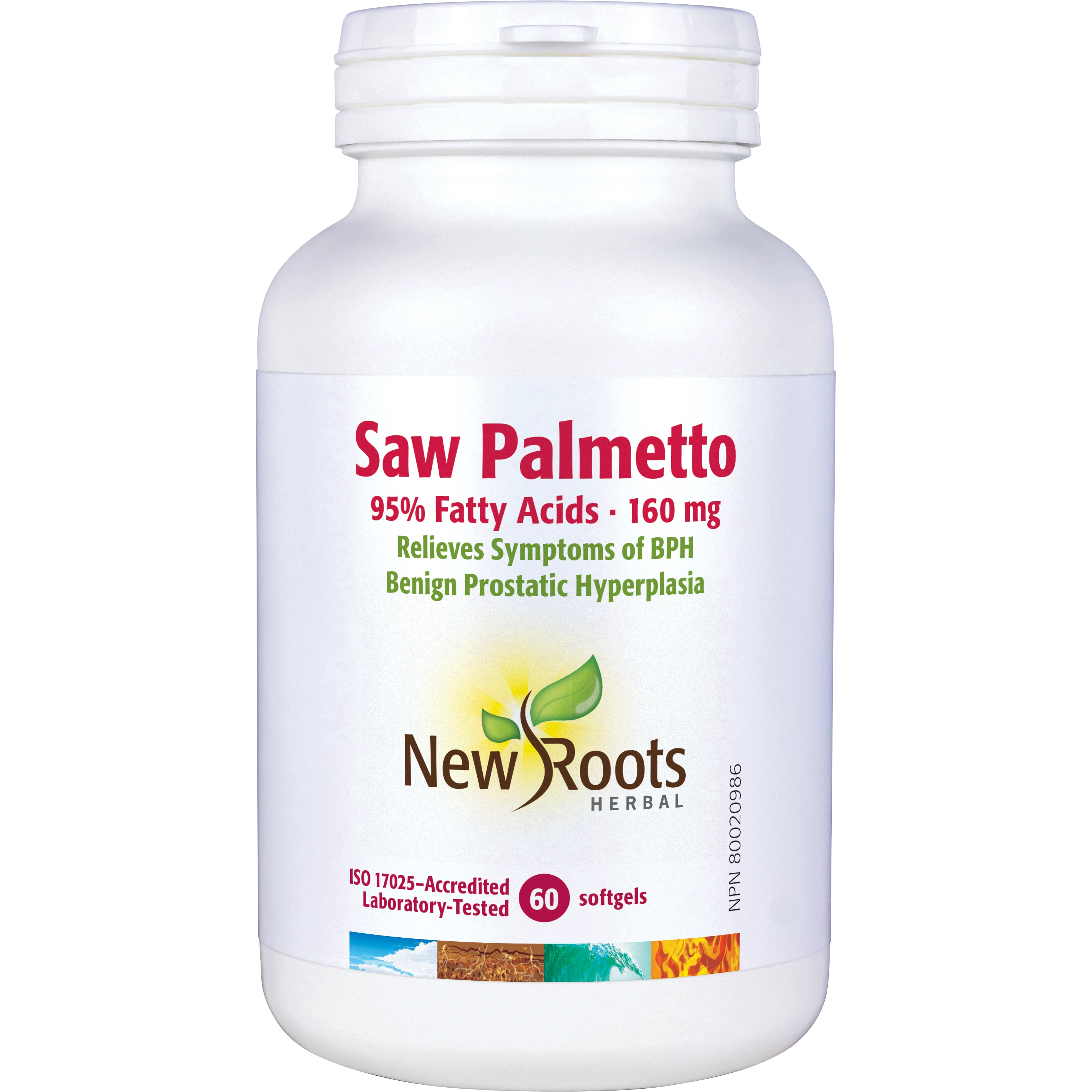 Saw Palmetto