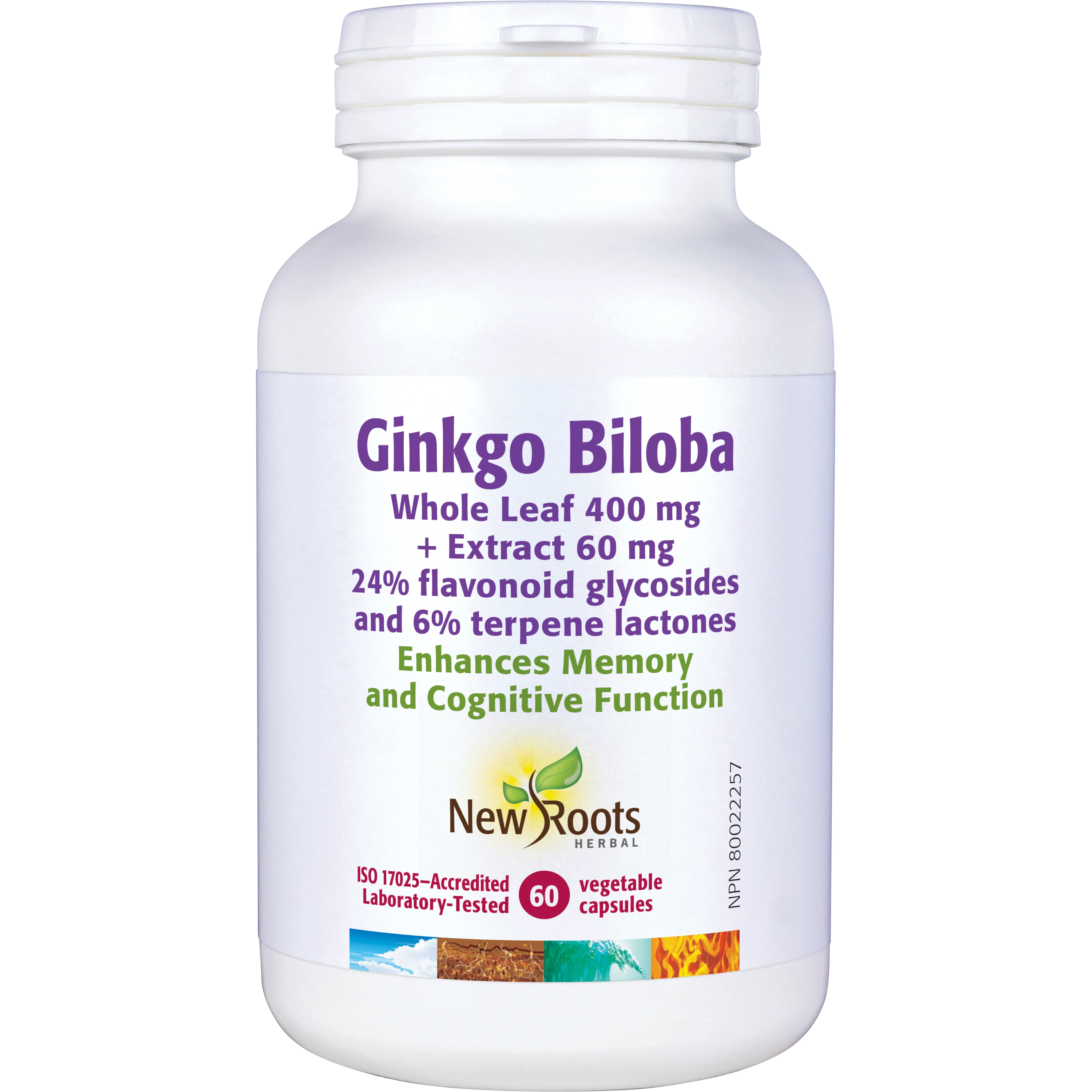 Ginkgo Biloba