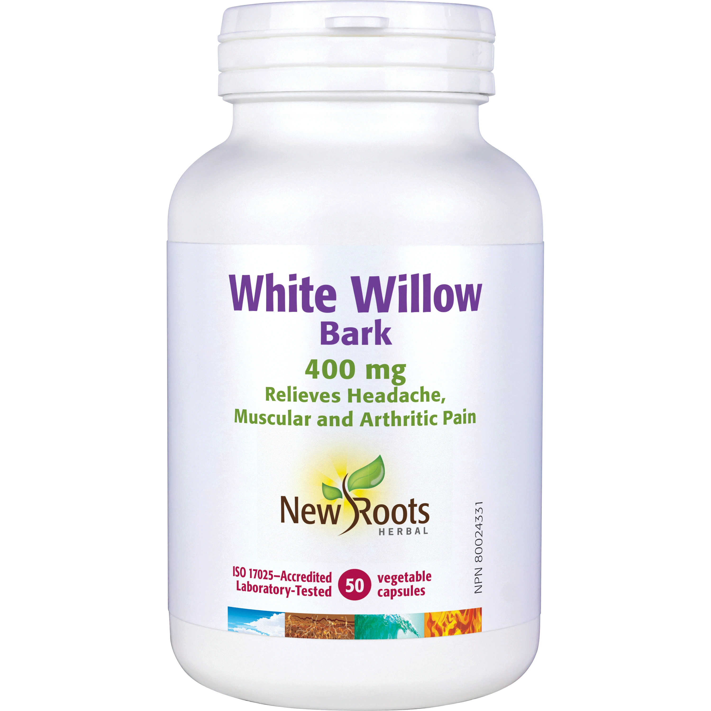 White Willow
