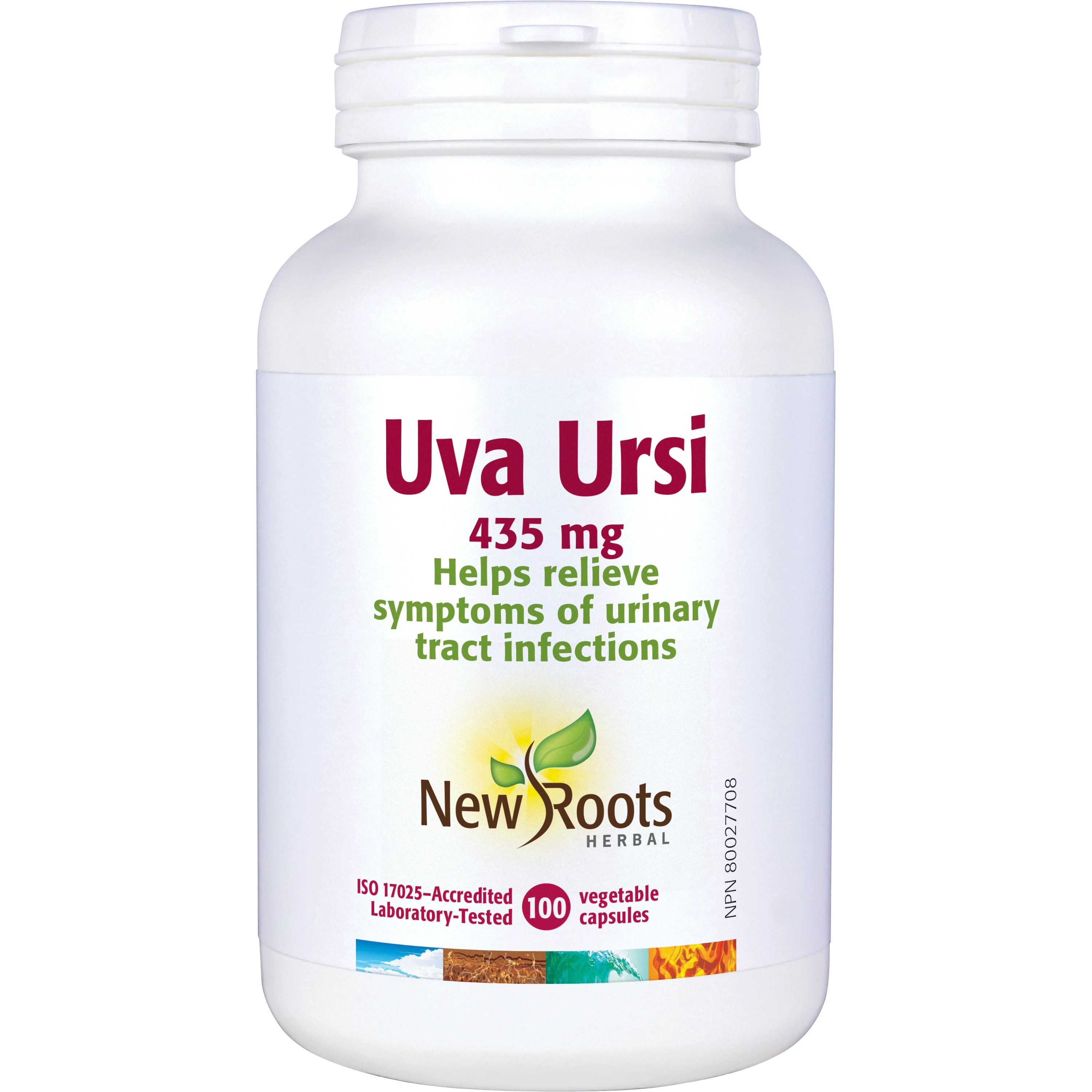 Uva Ursi