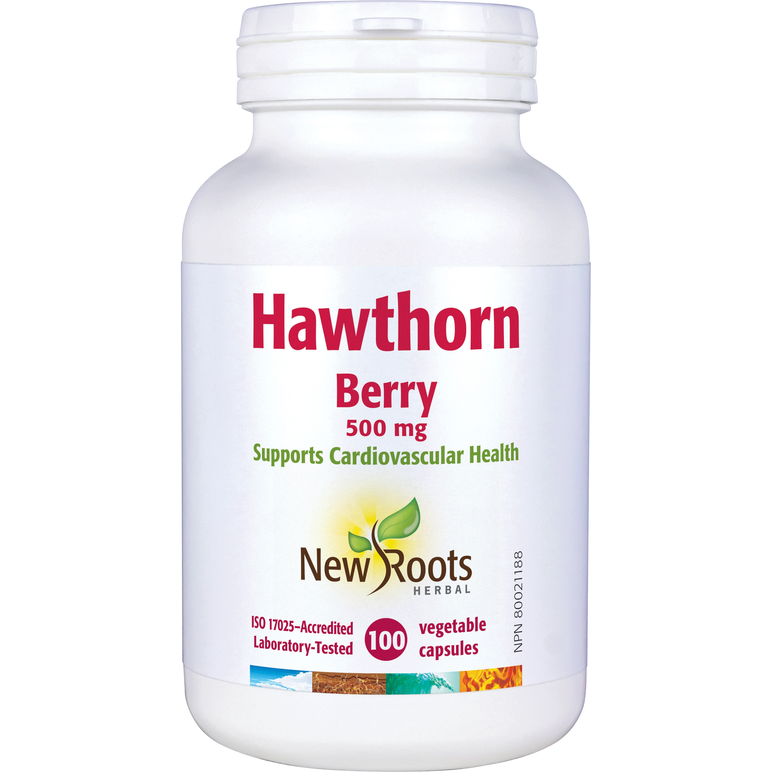 Hawthorn Berry