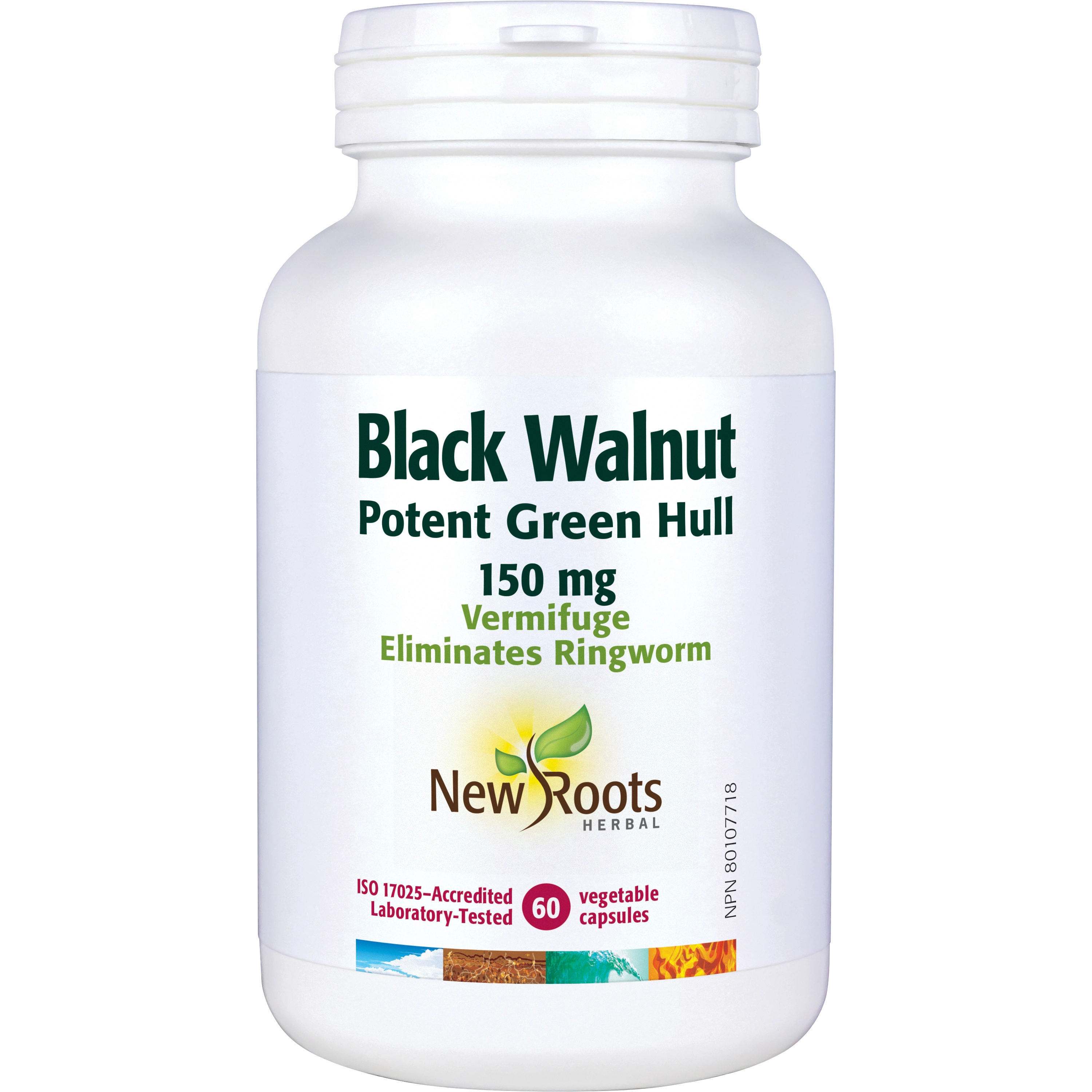 Black Walnut Green Hull