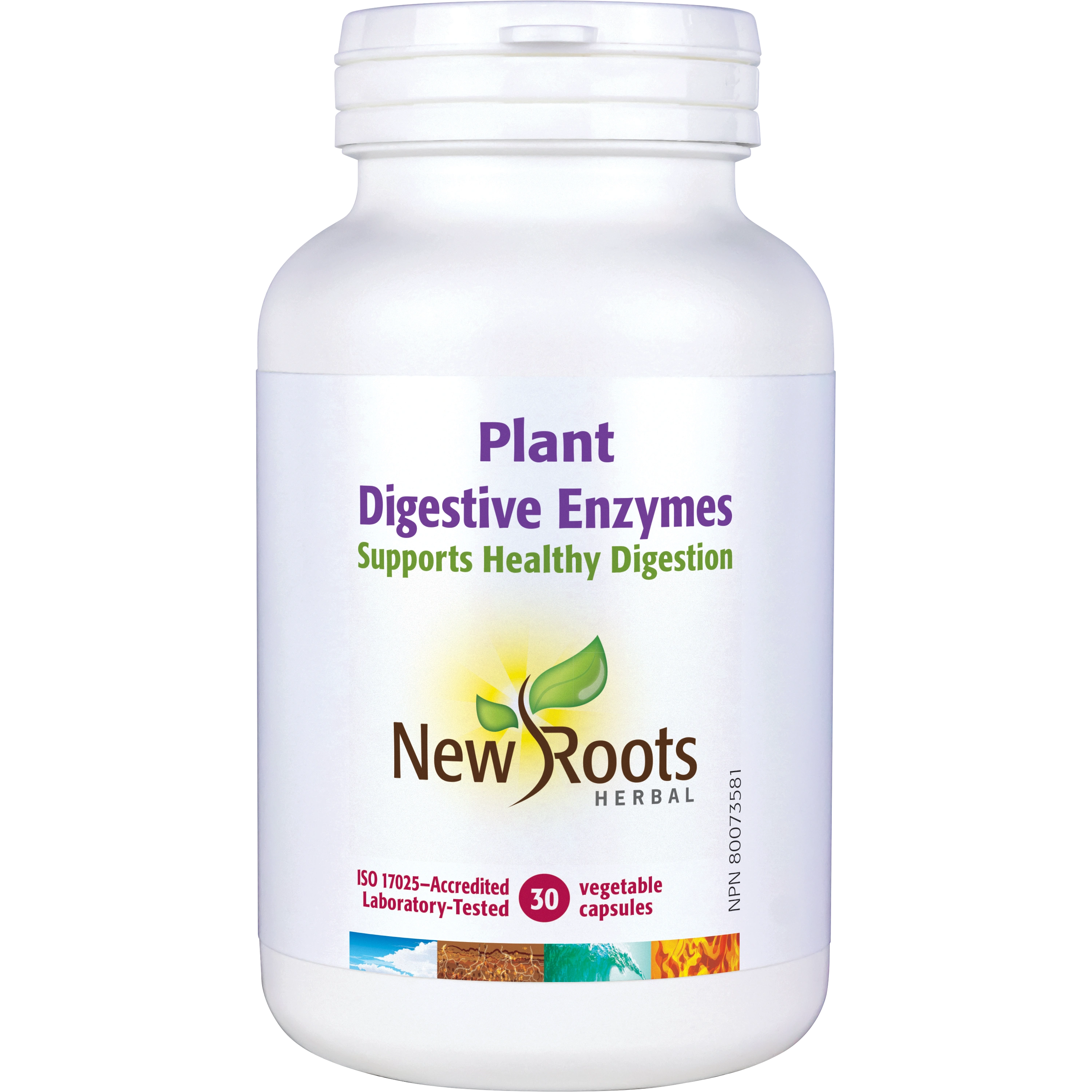 Plant Digestive Enzymes