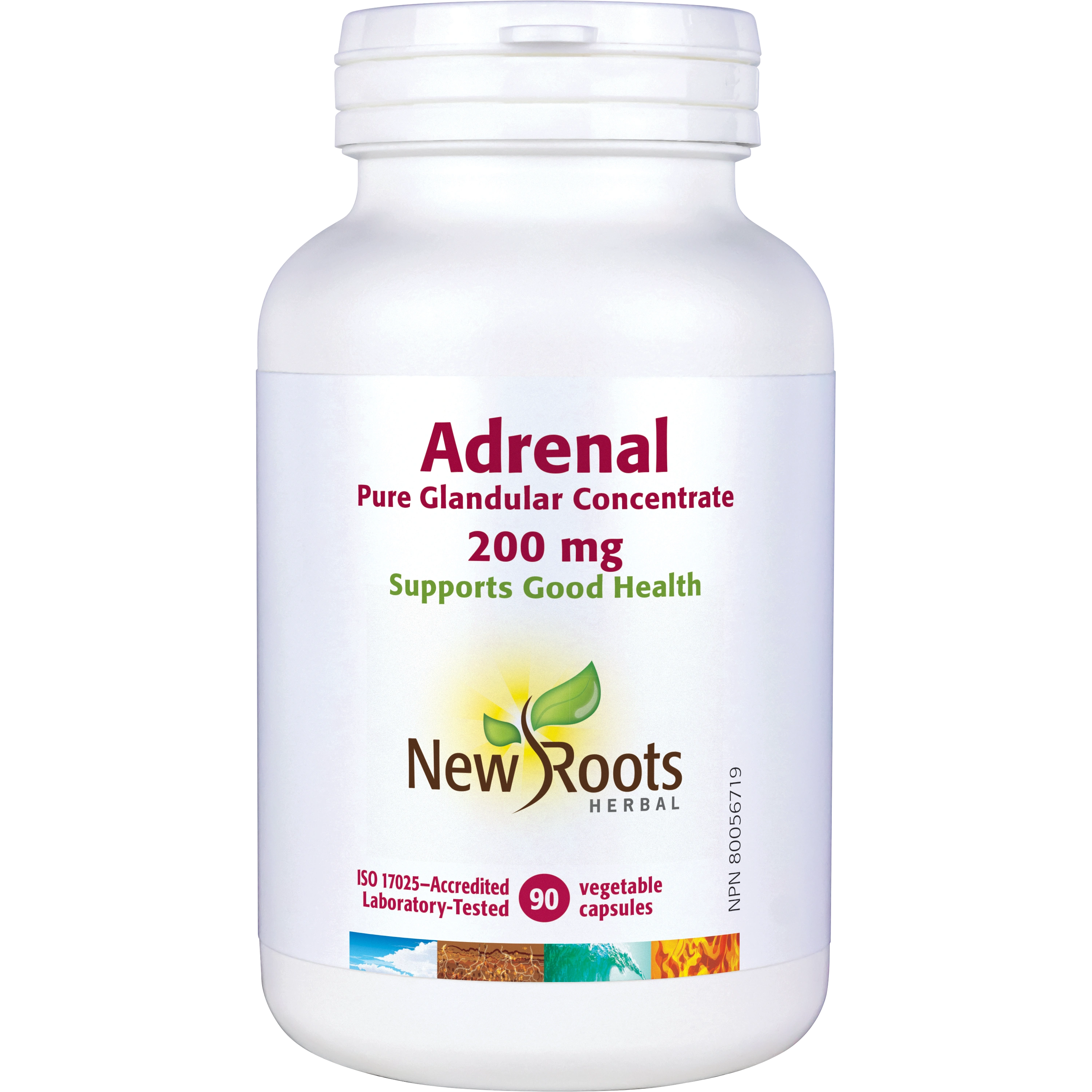 Adrenal