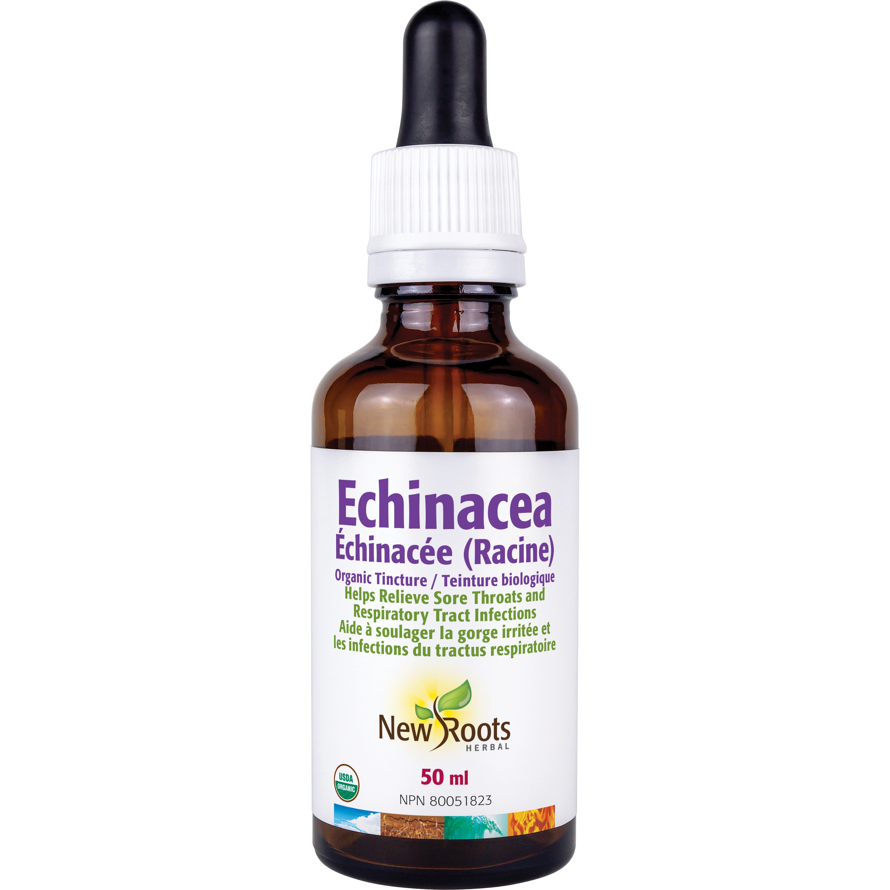 Echinacea