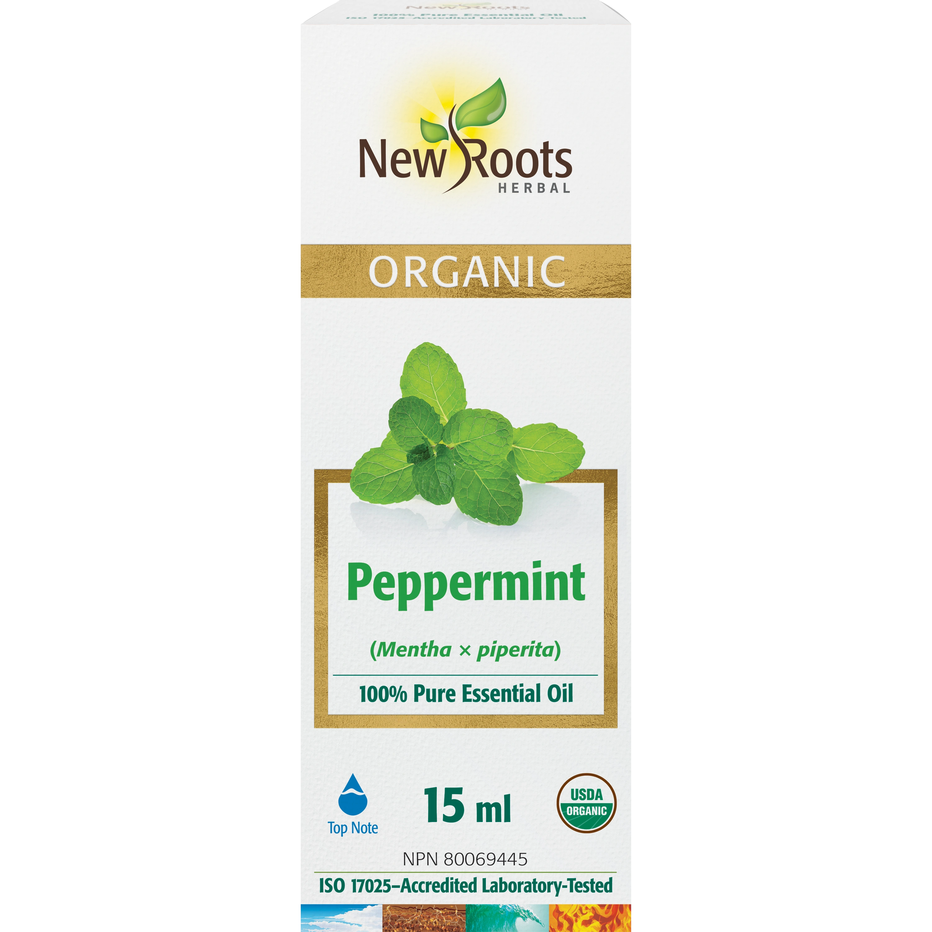 Peppermint Essential Oil