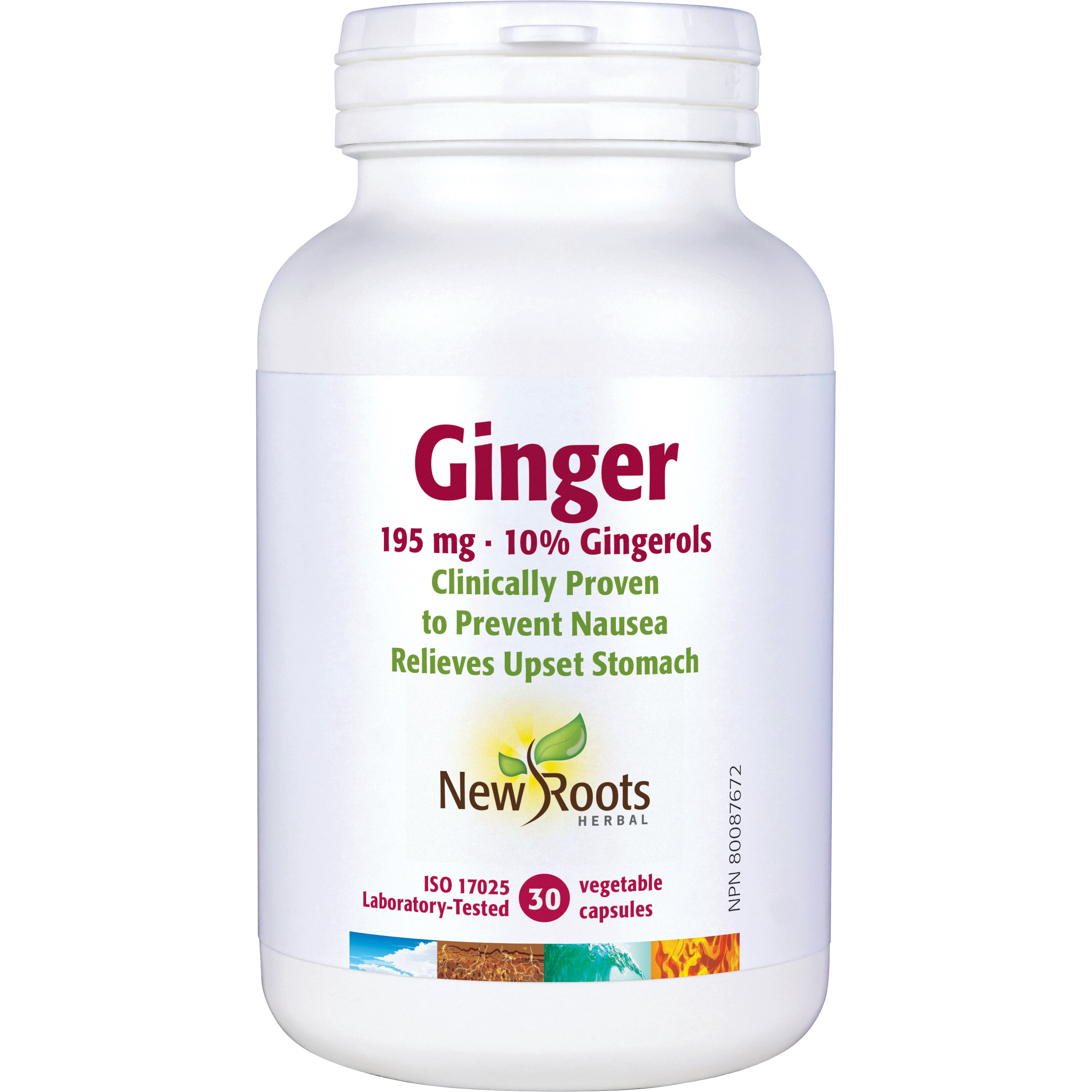 Ginger 195 mg