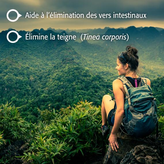 Noyer Noir (Écale)