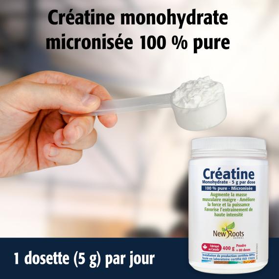 Créatine en Poudre
